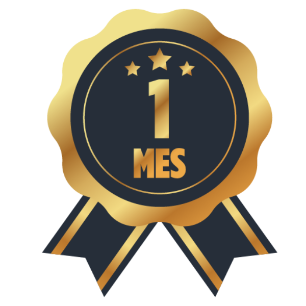1 Mes