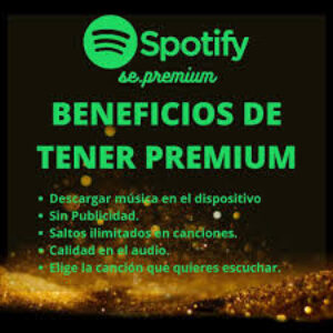 🎧 Cuenta Spotify Premium Individual – 12 Meses Garantizados 🔥